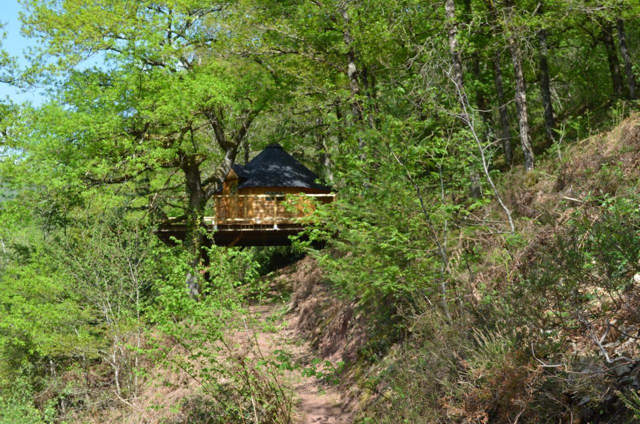 Ma Cabane En Aveyron Conques-en-Rouergue Exterior foto